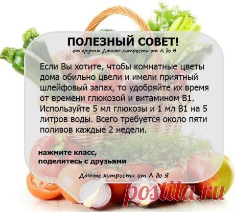 (53) Одноклассники