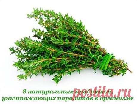 Стена