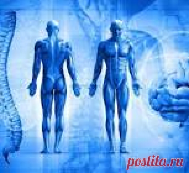 Соблюдайте эти 4 правила — и ваше тело ответит вам здоровьем и долголетием