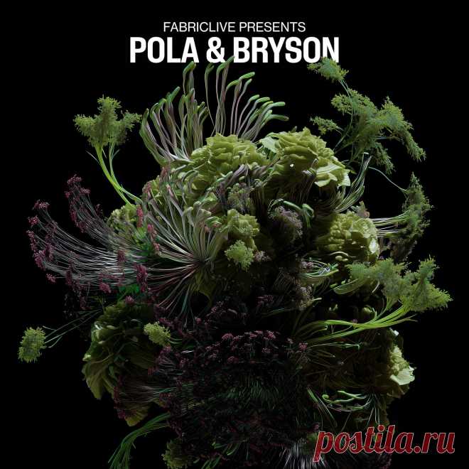 VA - FABRICLIVE presents Pola & Bryson FABRIC226DL » MinimalFreaks.co