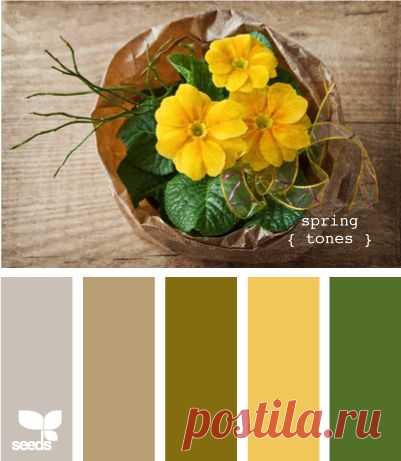 (1) Pinterest • The world’s catalog of ideas