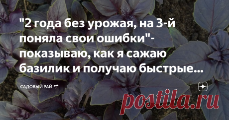 "2 года без урожая, на 3-й поняла свои ошибки"- показываю, как я сажаю базилик и получаю быстрые дружные всходы
