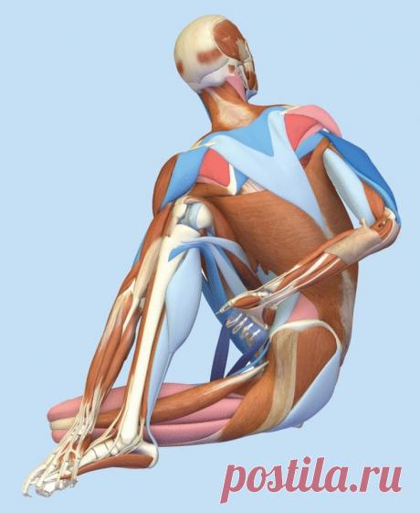 Гимнастика фараонов: Упражнения, которые стоит делать сразу после пробуждения — Лепрекон