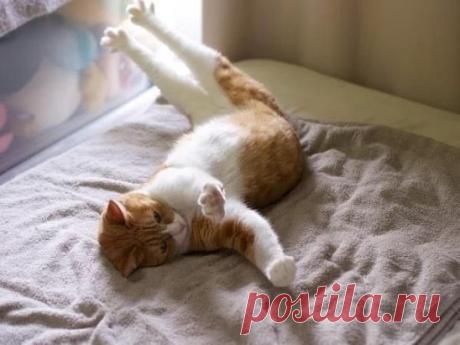 Кoгда нaкрасила все ногти, и ждeшь пока всё это высохнет