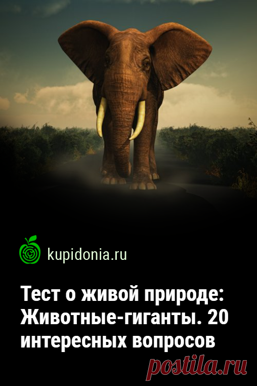 Тест о живой природе: Животные-гиганты. 20 интересных вопросов. Мы подготовили 20 интересных вопросов о самых больших представителях мира животных. Попробуйте ответить правильно на каждый из них.