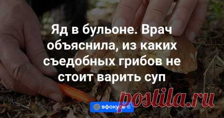 Грибники наслаждаются урожайным началом лета. Подберезовики, маслята, подосиновики, белые… Но, оказывается, не из всех стоит варить суп. Почему?