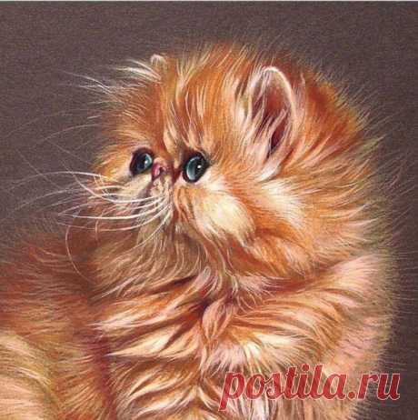 Про кошачьи глаза, художница Елена Колотуша