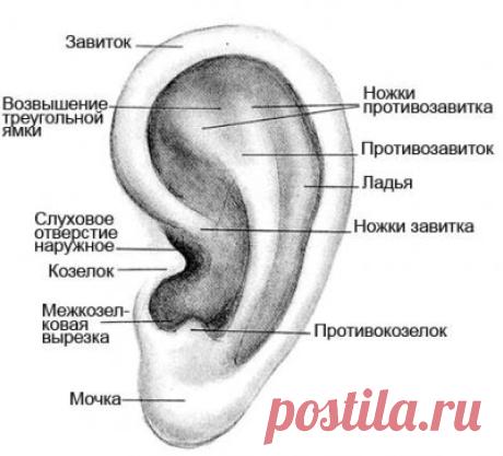 КАК УЛУЧШИТЬ СВОЙ СЛУХ?