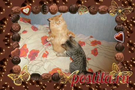 Кто кого