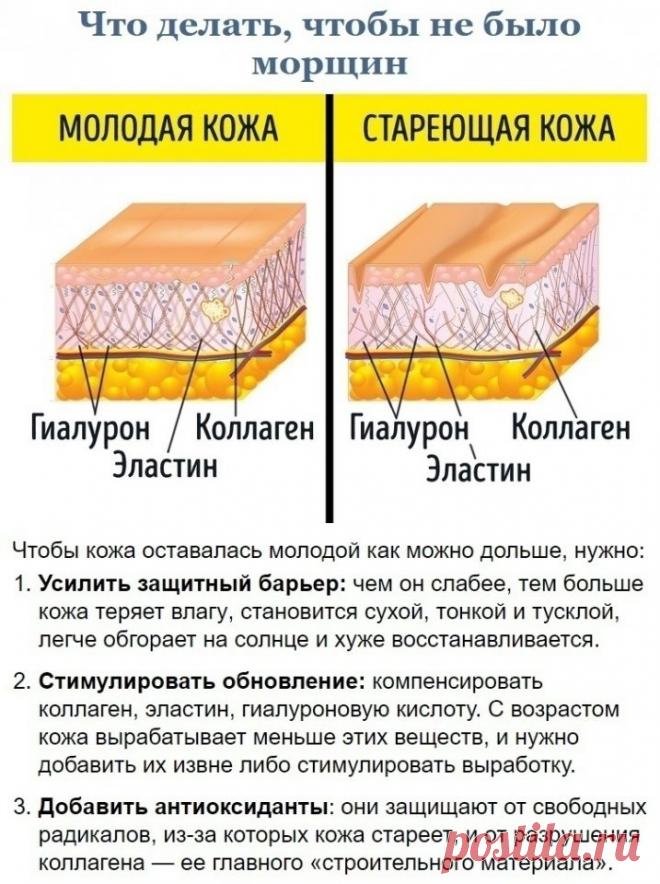 (50) Мой Мир@Mail.Ru