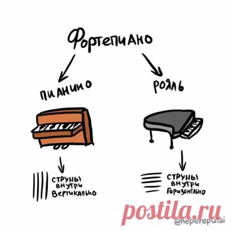 18 картинок, которые наглядно объясняют всю разницу между словами, которые мы часто путаем - Сказка для двоих - медиаплатформа МирТесен