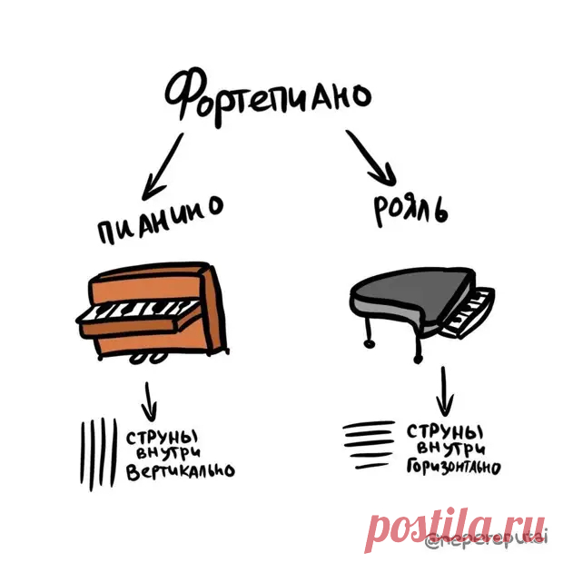 18 картинок, которые наглядно объясняют всю разницу между словами, которые мы часто путаем - Сказка для двоих - медиаплатформа МирТесен