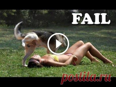 Dog Fail Compilation