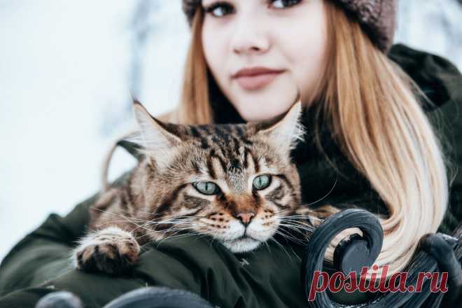 И, когда ключи в замке повернулись именно в 