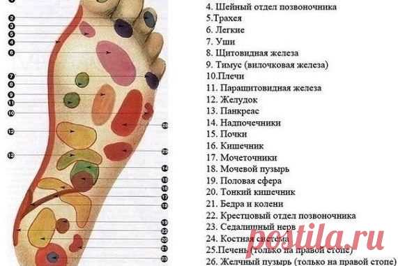 Массаж стоп необходим для улучшения здоровья и профилактики различных заболеваний! — ПОЛЕЗНЫЕ СОВЕТЫ И РЕЦЕПТЫ