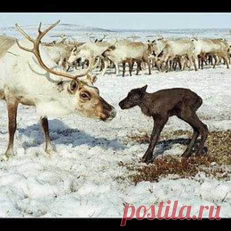 Юрий