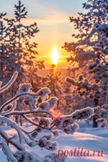 Три зимних месяца - пожалуй, самое колдовское время года. Это хрустящая свежесть морозного воздуха. Бледное золото и молочные туманы. Падающие с неба мириады невесомых парашютиков, бесследно исчезающие на раскрытых ладонях. Пушистый снежный покров, искристо сверкающий в солнечных лучах, словно устилающие землю алмазные россыпи. Осыпанные инеем деревья и кустарники, похожие на расставленные волшебником-невидимкой вдоль дорог и тротуаров серебряные подсвечники. Зима - это чу...