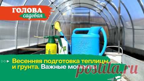 Голова садовая: Весенняя подготовка теплицы и грунта. Важные моменты