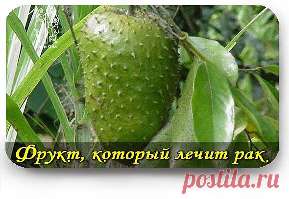 Он, Она и дети!