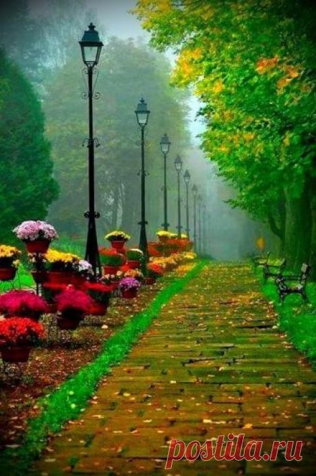 Pinterest (Pin) (157)