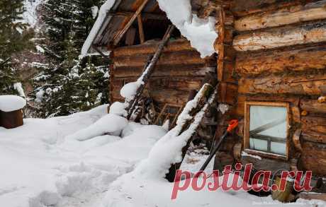 В гостях у Агафьи Лыковой: kot_de_azur