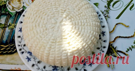 Адыгейский сыр - пошаговый рецепт с фото. Автор рецепта Надежда    . Адыгейский сыр - пошаговый рецепт с фото. #премиязакуски