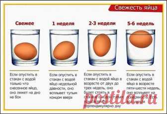 Порой может произойти так, что какой либо продукт может залежаться в холодильнике или вы купили  что-то в магазине, но не доверяете сроку годности. Хорошо, если по внешним признакам видно что продукт свежий или нет, а что делать с яйцами? 
Оказывается все очень просто, для того что бы распознать яйцо на свежесть, нам понадобится емкость с водой. В зависимости от его свежести яйцо может погружаться вниз или сплывать. 
Зависит это от  количества воздуха внутри яйца. Все мы в...