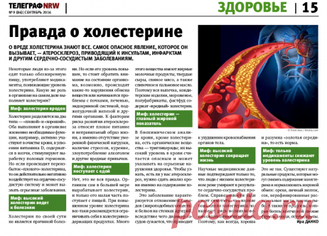 Правда о холестерине