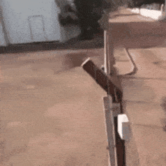 GOOFY GIFS, чтобы заставить вас улыбаться | CutesyPooh