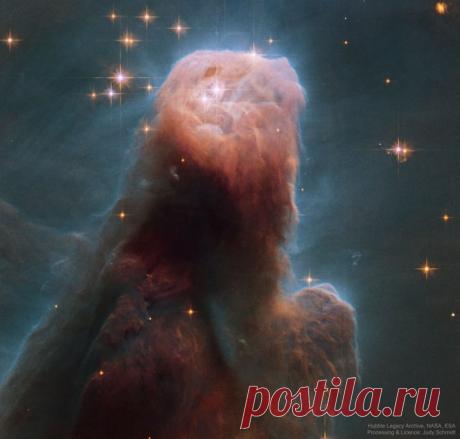 Туманность Конус от телескопа имени Хаббла / Astro Analytics