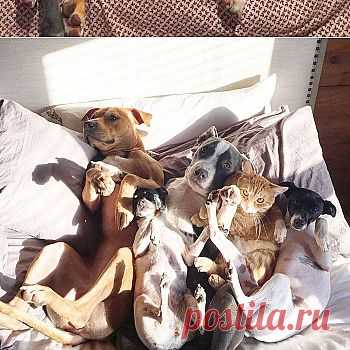 Latest pictures | Funpic.hu - biggest collection of funny pictures and videos