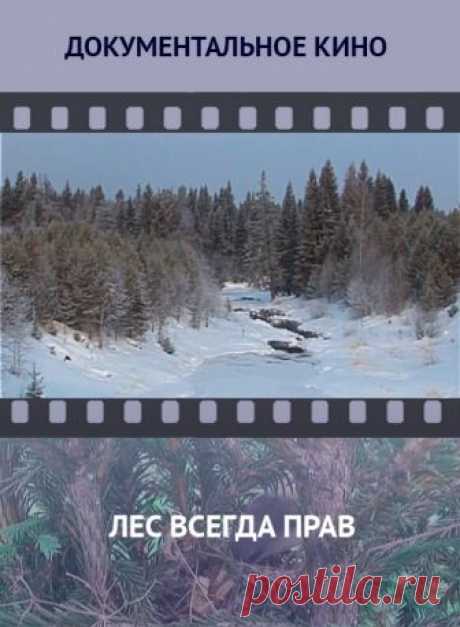 Смотреть фильм онлайн