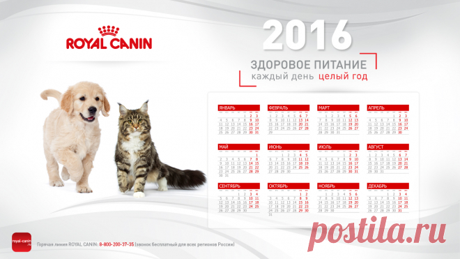 zastavka_1280x720.jpg (1280×720)