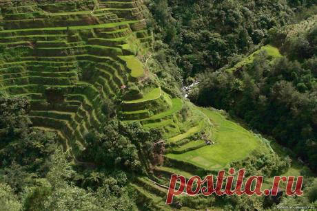 Земля — это громадный организм, наделенный чувствами, планета, насквозь пропитанная человеческой сущностью, живая планета, выражающая свои чувства с трудом и с запинками, она не дом белой расы, или черной расы, или желтой расы, или исчезнувшей голубой расы, а дом человека, и все человеки равны перед Богом, и все получат свой шанс, не сейчас, так через миллион лет...