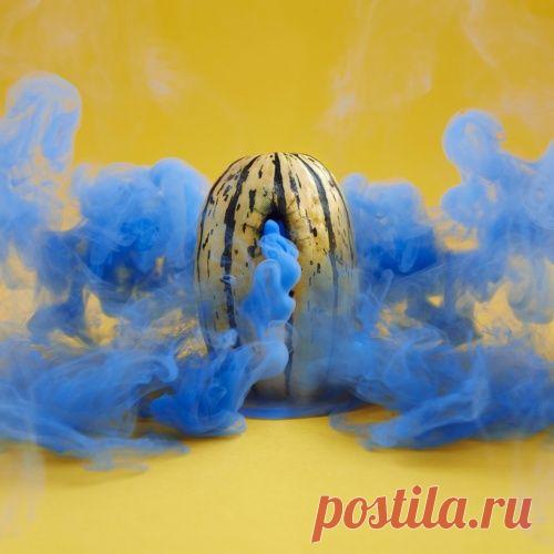 Красочная фотосерия Мацика Ясика «Овощи в тумане»