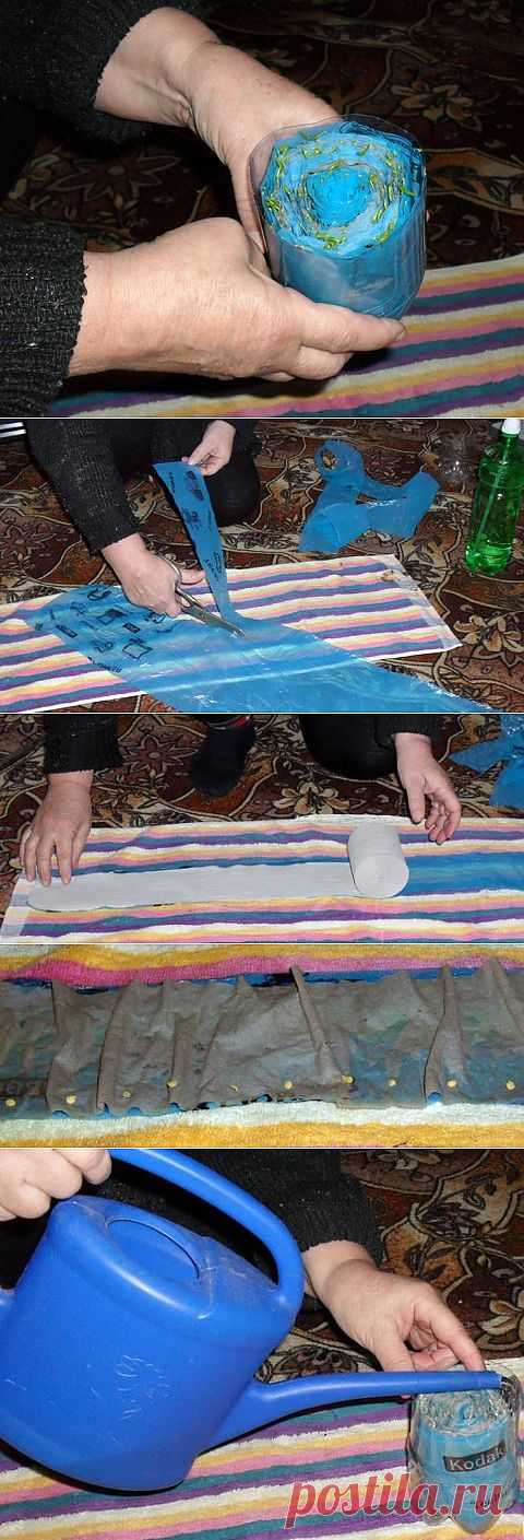 Выращиваем рассаду без земли | Делаем сами