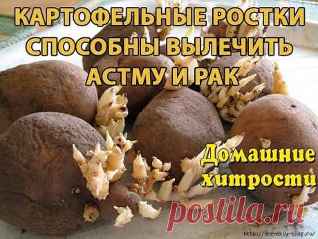 Картофельные ростки лечат астму и рак!