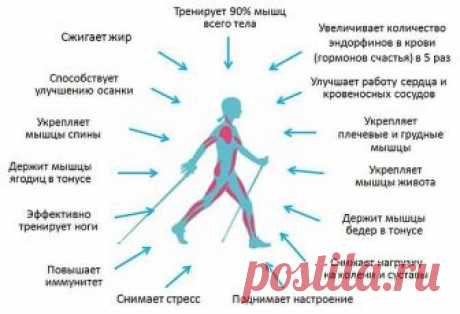 СКАНДИНАВСКАЯ ХОДЬБА.

Скандинавская ходьба прекрасно подходит для людей, которые ведут здоровый образ жизни. 

Этот вид ходьбы придумал знаменитый лыжник Юхе Мието. Почти сто лет назад он показал скандинавскую ходьбу в Финляндии. Когда спортсмен тренировал лыжников, он дал им задание поддерживать форму в течении года путем тренировок с палками без лыж. 

Скандинавская ходьба подходит для любой погоды и времени года. Число ее поклонников растет еще и потому, что в этом вид...