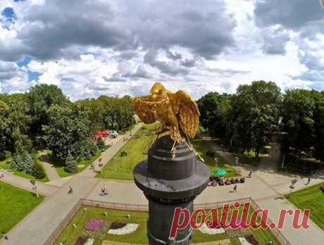 (1) Виталий Никипелов