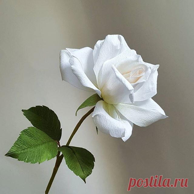 Stopping to smell and make the roses.