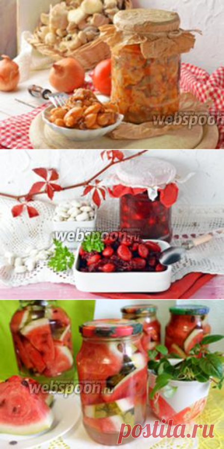 Рецепты закусок на зиму с фото на Webspoon.ru