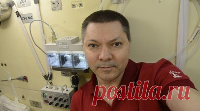 Космонавт «Роскосмоса» Кононенко побил рекорд по пребыванию в космосе. Космонавт госкорпорации «Роскосмос» Олег Кононенко установил новый рекорд по суммарной длительности космических полётов. Читать далее