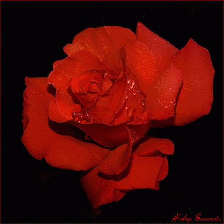 Alaaddin BOZKIR – Google+