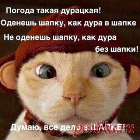￬ ￬ ￬ Смотри ниже ￬ ￬ ￬