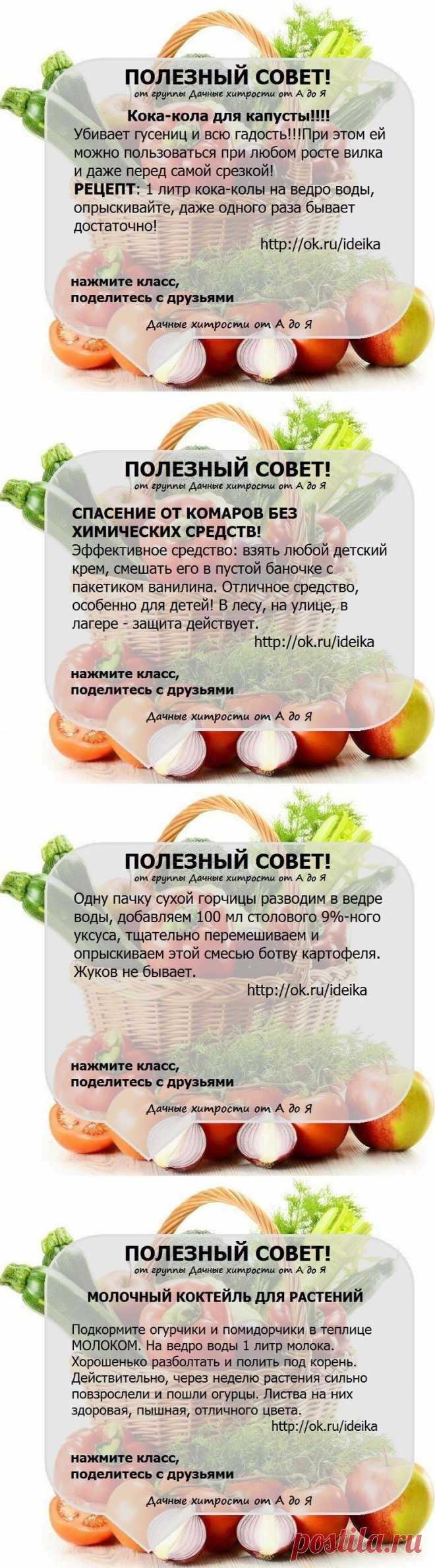 Одноклассники