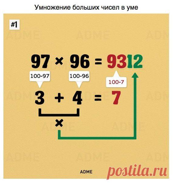 Такому в школе нас не учили. А жаль!