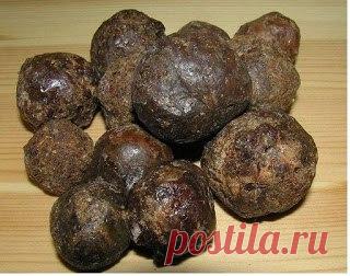 Бальзамы - Полезная информация - Тенториум Самара. Продукты пчеловодства.