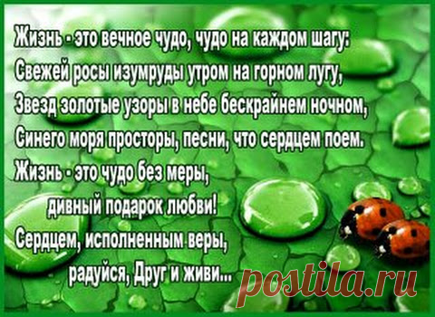 Google+