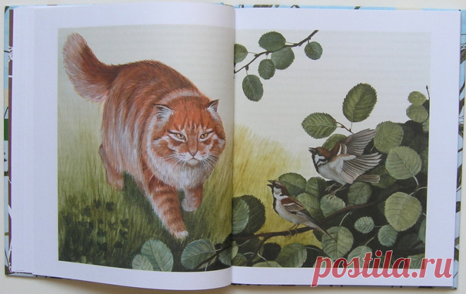 Лесные разведчики, Виталий Бианки: taberko