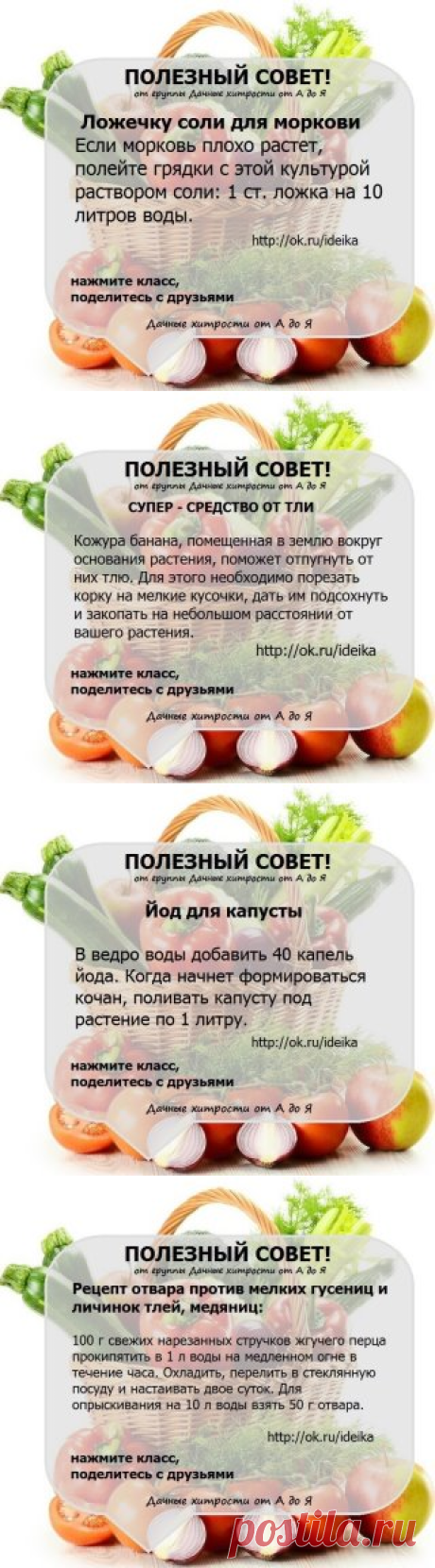 (1) Одноклассники